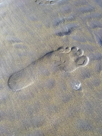 footprint